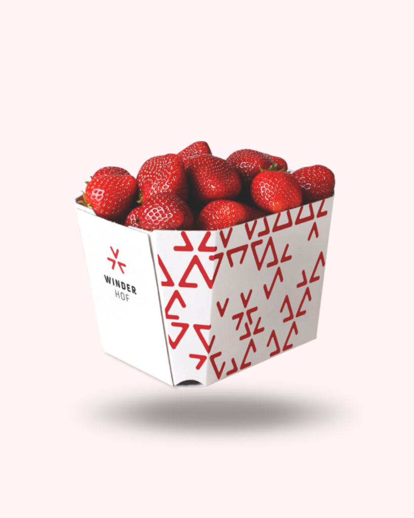 viergestalten Winderhof 03