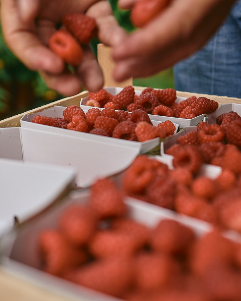 viergestalten Winderhof 04