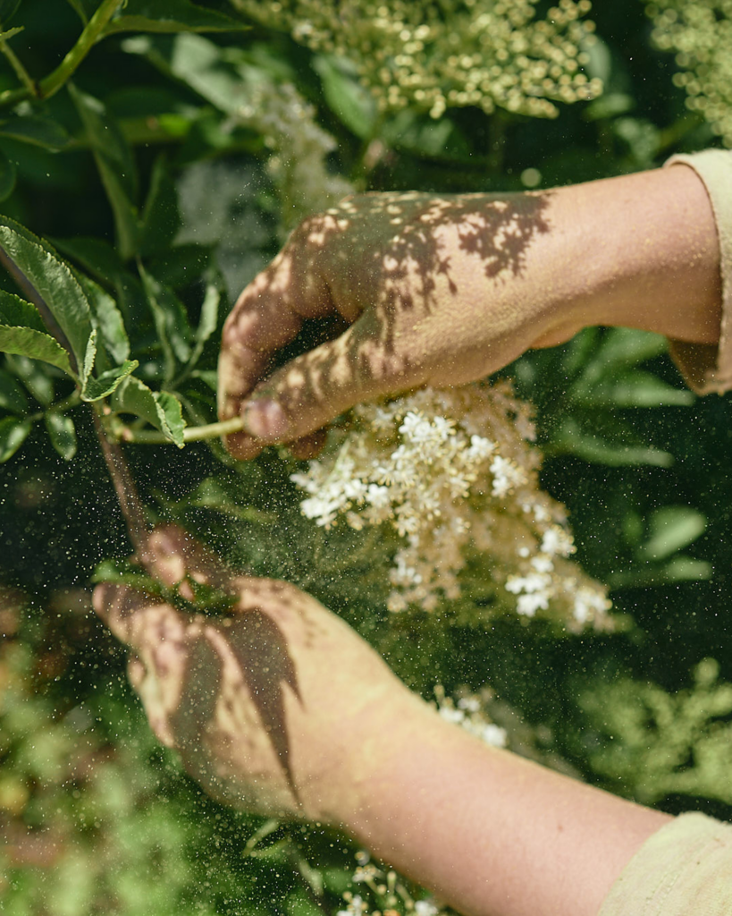 viergestalten Winderhof 05